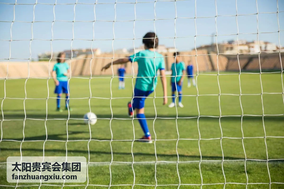 太阳贵宾会集团高端礼宾出行服务